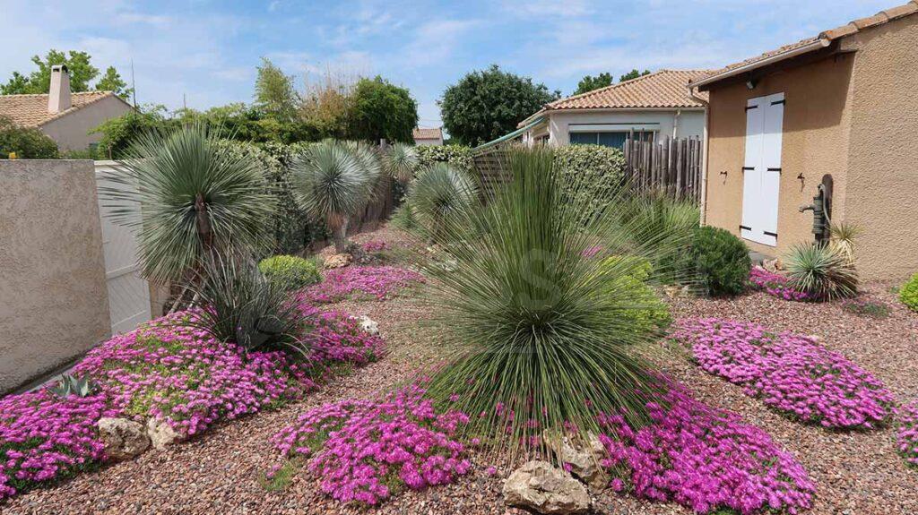 Jardin méditerranéen fleuri sur-mesure