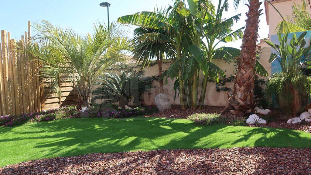 Jardin exotique avec un espace vert