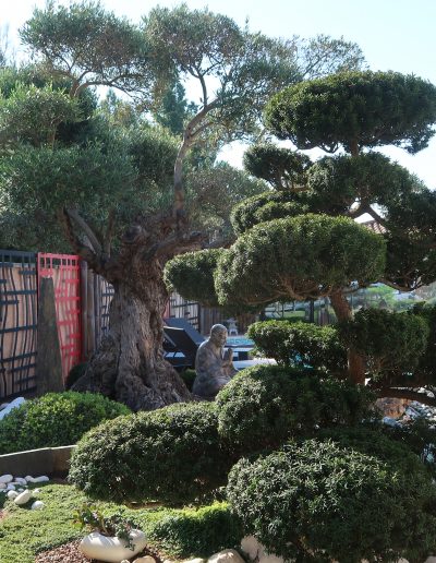 Aménagement d'un jardin asiatique à Montpellier